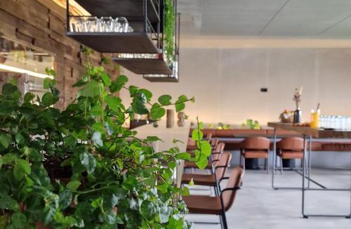 Nelas Hotel | Puro Dão Hotel & Spa