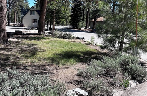 Y Area Cabin | Quaint Cozy Cabin in Beautiful South Lake Tahoe Located Near The Lake and Trails