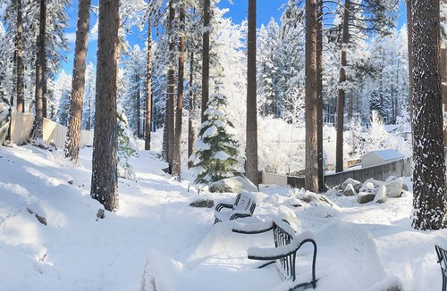 Lower Kingsbury House | Quiet Cozy Tahoe 3B/2B House, minutes from ski resorts, fire pit, mountain vibes