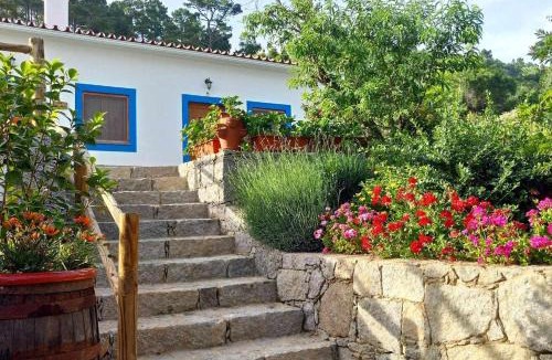 Barracao House | Quinta da Idalina