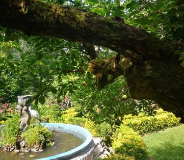 Albergaria-a-Velha House | Quinta das Águias