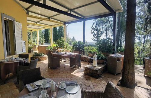 Tavira Apartment | Quinta das Eirinhas-Jardim de Bonsai