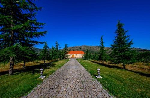 Guarda House | Quinta do Quinto