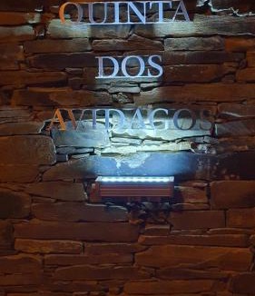 Monaco Villa | Quinta dos Avidagos - AgroTurismo, Mirandela