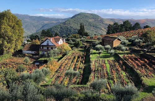 Cotas Other | Quinta Vila Rachel - Winery - Ofélia House