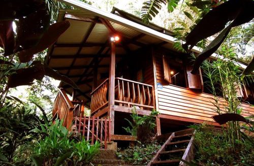 Manzanillo Ski Chalet | Ranitas- Jungle House Private Tropical Garden Retreat Manzanillo