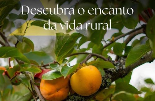 Mangualde House | Refúgios do Rio Dão