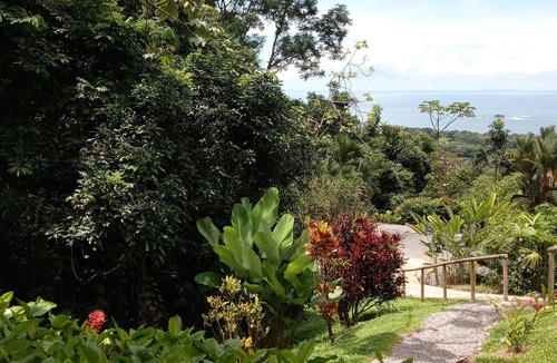 Uvita Cabin | Relax surrounded by Wildlife, Rainforest, Ocean view, Beach Club, Hi speed Wi-Fi
