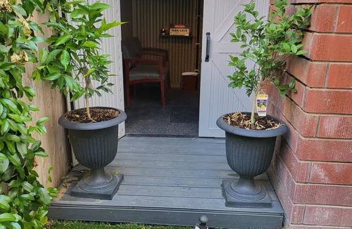 Porterville House | Relaxation meets comfort HERE at Redwood Inn