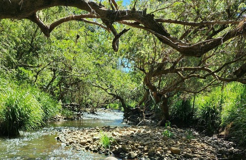 Mount Nathan Cottage | River Cottage Gold Coast in the Beautiful Hinterland