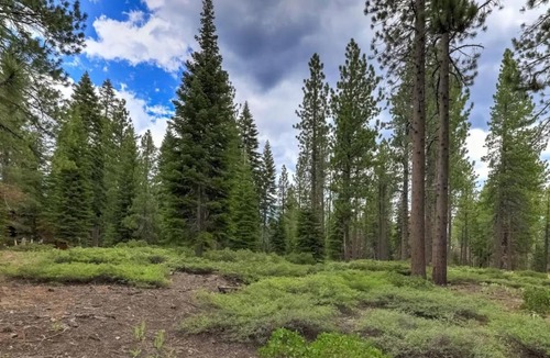 North Upper Truckee Ski Chalet | River Rock House Deck Forest Views