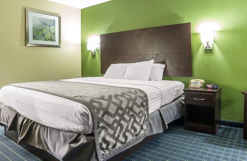 Needles Hotel | Rodeway Inn & Suites Needles
