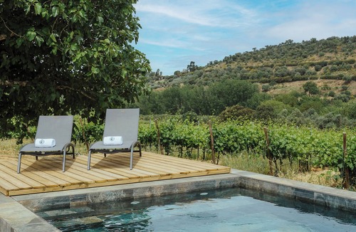 Montemor-o-Novo Apartment | Romantic retreat in the vineyard near Quinta da Plansel in the Alentejo