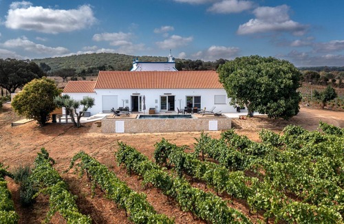 Montemor-o-Novo Apartment | Romantic retreat in the vineyard near Quinta da Plansel in the Alentejo
