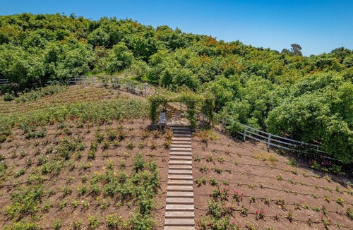 Carpinteria Cottage | Rosebud - Blooming Rose Farm
