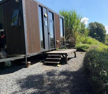 Federal House | Rosewood Tiny Home by Tiny Away