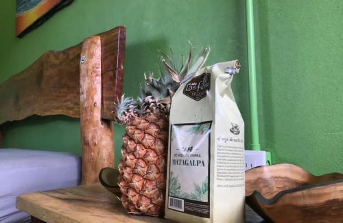 Jiquelite Hostel | Ruamoko Hostel