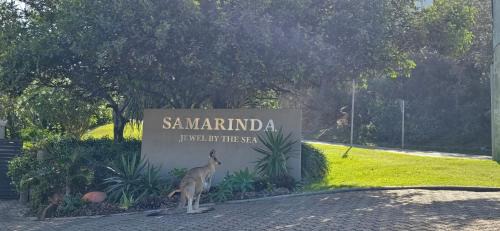 Point Lookout Apartment | Samarinda Jewel by the Sea