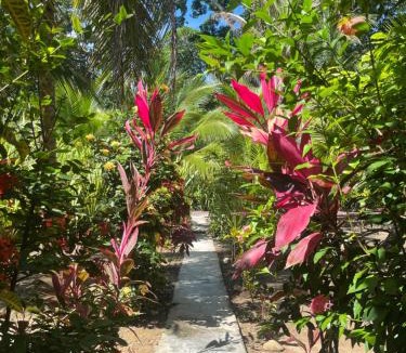 Cocles Apartment | Secret Paradise
