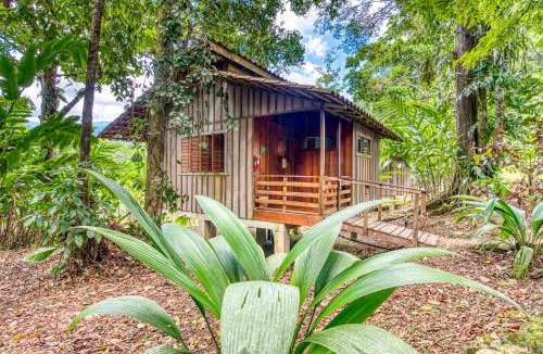 Limon Cabin | Selva Bananito Lodge
