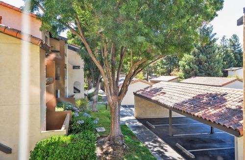 Shoreline West Apartment | Serene Mountain View 1BR w/W/D, Pool & Gym, near Safeway, by Blueground