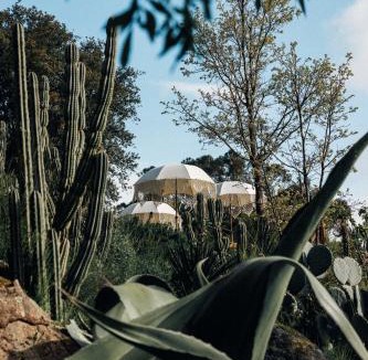 Santa Maria de Marvao House | Serra Vida - A Place Of Presence