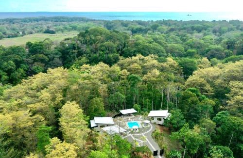 Ballena Apartment | Sharma Costa Rica - Heliconia Casita