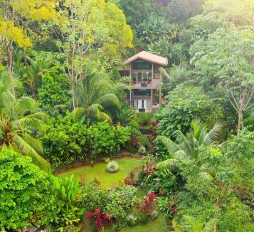 Ballena Villa | Sloth Premium Riverfront Jungle Villa with Jacuzzi and Pool