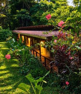 Cocles House | Smile Jungle Hostel