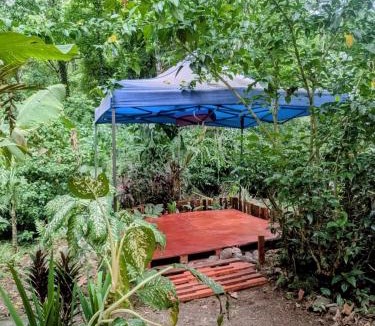 Cocles House | Smile Jungle Hostel