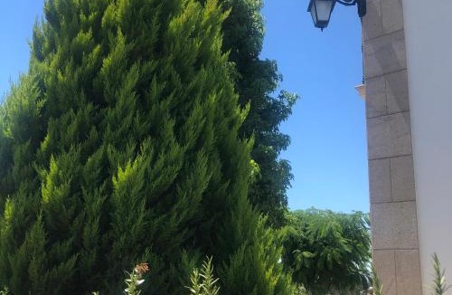 Mangualde Bed & Breakfast | SOLAR DA SERRA-GuestHouse