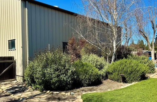Santa Barbara House | Spacious contemporary house in the heart of Los Olivos