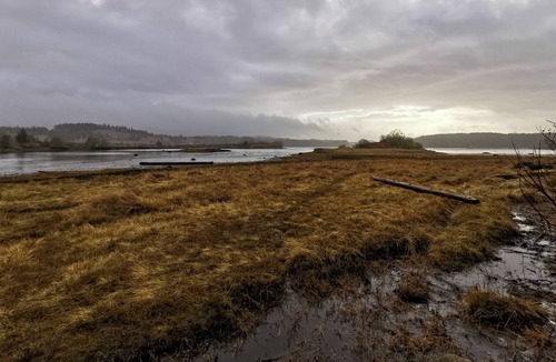 Ucluelet House | Spacious Getaway @ Swan View