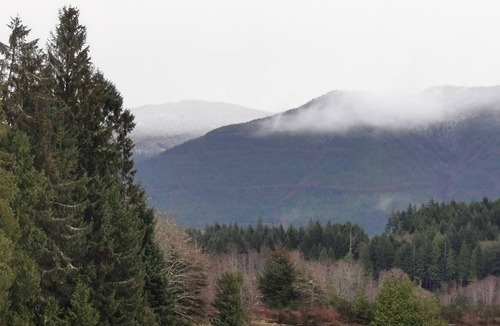 Ucluelet House | Spacious Getaway @ Swan View