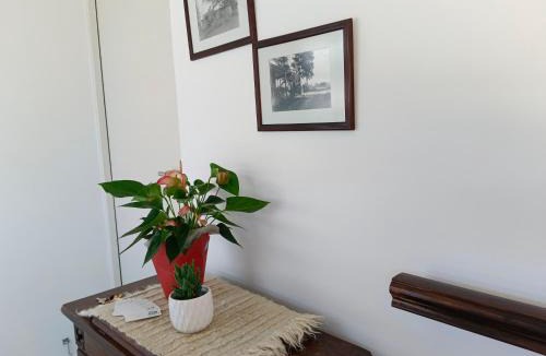 Aston Bay Apartment | Standard Suite - Serenity at Rustic Dune 1
