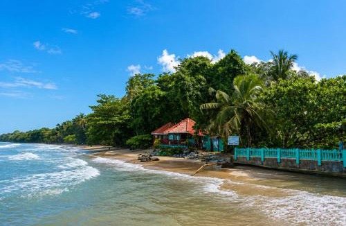 Cahuita Apartment | Starlink Jungle Retreat Eco Living Fast WiFi