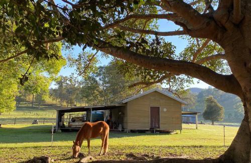 Kenilworth House | Stay at the Barn. Immerse yourself in nature.