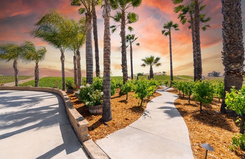 Temecula House | STUNNING 9/Acre Vineyard 1 Min from Wineries - Pool/Hot Tub and Private Cellar