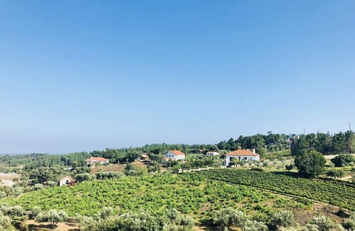 Proenca-a-Nova House | Suites Do Pinhal - Double Room 2