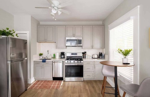 Little Italy Apartment | Sunny Studio in Little Italy | Walk Everywhere