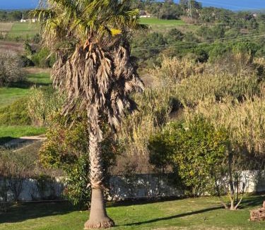 Zambujal Apartment | Sunset Apartment by Sesimbra Sun Sea