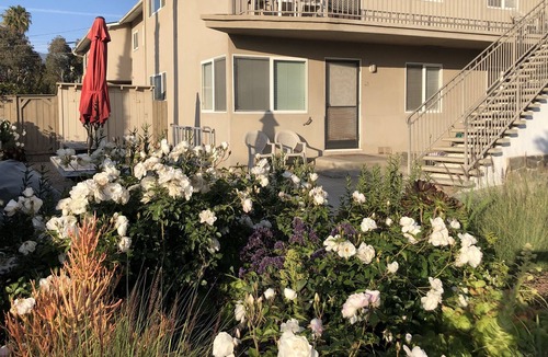 Carpinteria Apartment | Surf, Sun, Sand, steps to Carpinteria Beach #15