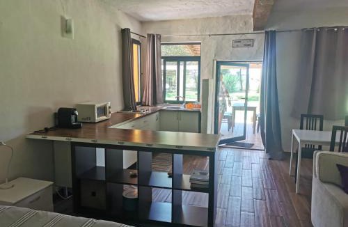 Vagos Ski Chalet | T0 da Casa da Quinta S José