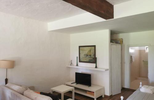 Vagos Ski Chalet | T0 da Casa da Quinta S José