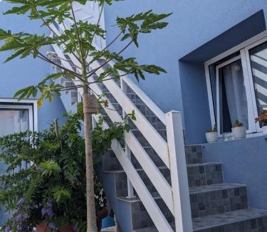 Barra Apartment | T2 na Praia da Costa Nova - Yellow Door