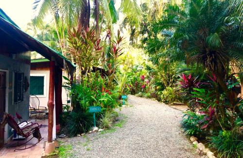 Puerto Viejo de Talamanca Hostel | Tasty Dayz Hostel