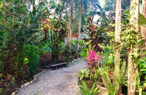 Puerto Viejo de Talamanca Hostel | Tasty Dayz Hostel