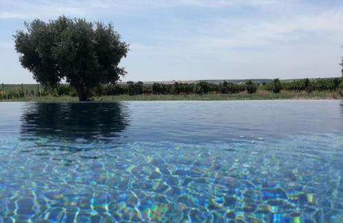Beja House | Terras - Agroturismo & Vinhos