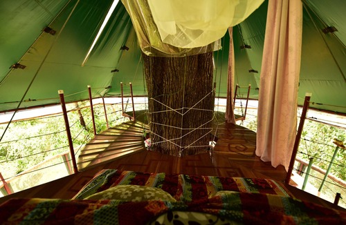 Manzanillo Cabin | The Amazing Treehouse and Nature Observatorio in Manzanillo, Limon, Costa Rica
