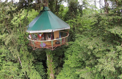 Manzanillo Cabin | The Amazing Treehouse and Nature Observatorio in Manzanillo, Limon, Costa Rica
